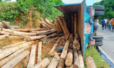 কাঠবোঝাই ট্রাক উল্টে প্রাণ গেল ২ জনের, আহত ৮