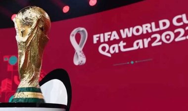  কাতার বিশ্বকাপে নিরাপত্তা দেবে পাকিস্তান