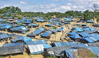 ১৪ ধরনের অপরাধে জড়িত রোহিঙ্গারা, ১১৫টি হত্যাকাণ্ড