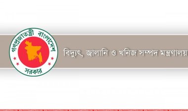 বিদেশি পরামর্শক নির্ভরতা কমাতে চায় জ্বালানি বিভাগ