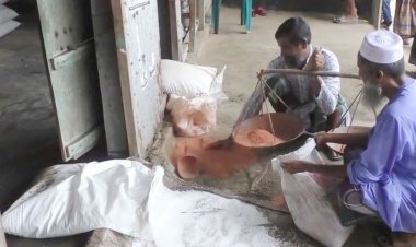 এমওপি সারের দ্বিগুণ দামে দুশ্চিন্তায় কৃষকরা