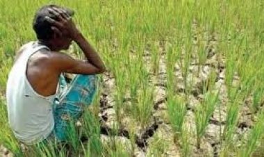 অনাবৃষ্টির ওপর খাঁড়ার ঘা হয়েছে সার-ডিজেলের দাম