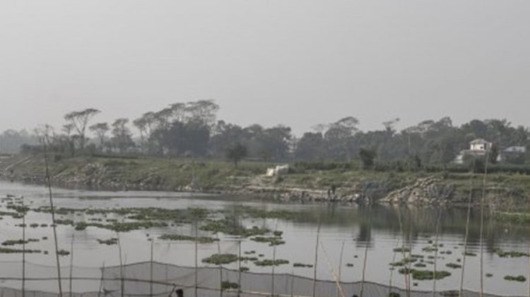 সিংড়ায় বিল থেকে নানা-নাতির লাশ উদ্ধার