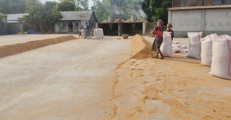 খাদ্য কর্মকর্তাদের ঘুষ দিয়ে নিম্নমানের চাল দেন মিলাররা