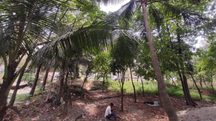 দুই প্রতিষ্ঠানের টানাহেঁচড়া, পান্থকুঞ্জ এখন অপরাধের স্বর্গরাজ্য