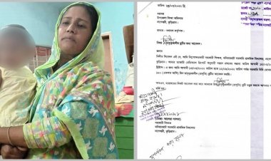  ধার করা সন্তান দেখিয়ে মাতৃত্বকালীন ছুটিতে শিক্ষিকা