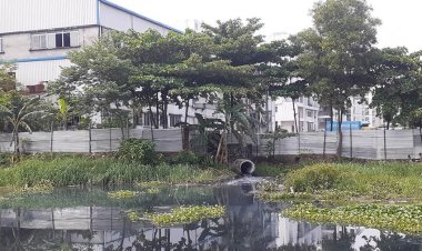 কারখানার বিষাক্ত পানিতে নষ্ট হচ্ছে ফসলি জমি, মরে যাচ্ছে মাছ