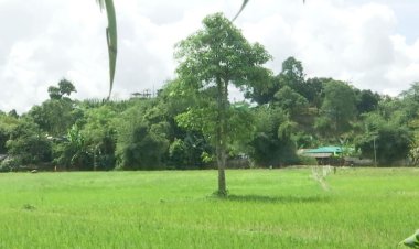  সীমান্তে থেমে থেমে গুলির শব্দ, আতঙ্কে স্থানীয়রা