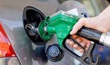 বিশ্ববাজারে তেলের দাম ৭ মাসের মধ্যে সর্বনিম্ন