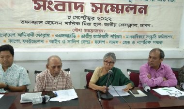 সরকার ক্ষমতায় টিকে থাকতে মুক্তিযুদ্ধের চেতনাকে ব্যবহার করছে: সুলতানা কামাল