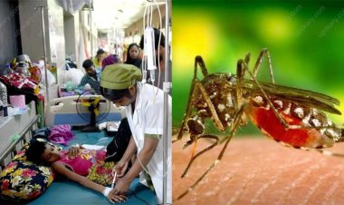 একদিনেই ডেঙ্গু আক্রান্ত ১৪৫ রোগী হাসপাতালে ভর্তি