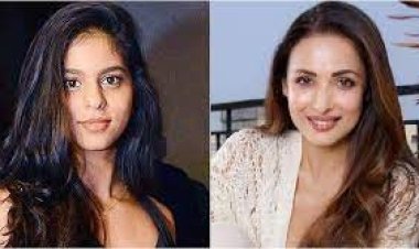 শাহরুখকন্যাকে মালাইকার সঙ্গে তুলনা