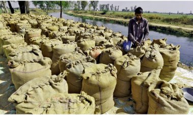 অস্থির হচ্ছে এশিয়ার চালের বাজার, বাড়ছে দাম