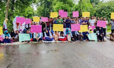  ঝিনাইদহ-চুয়াডাঙ্গা সড়ক অবরোধ করে ভেটেরিনারি শিক্ষার্থীদের বিক্ষোভ