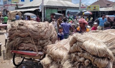 পাটের ফলন ভালো হলেও দাম নিয়ে হতাশ চাষিরা