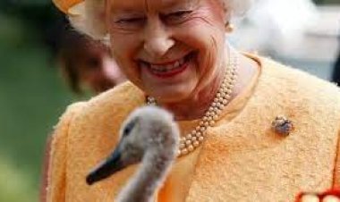 রাজহাঁস থেকে শুরু করে রানির যা পাবেন চার্লস