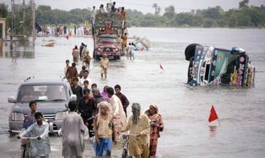  বন্যার্তদের ফ্রি টিকিট দেবে পাকিস্তান     