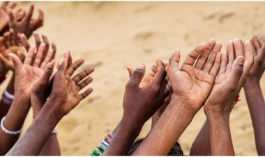  ক্ষুধায় প্রতি চার সেকেন্ডে প্রাণ যাচ্ছে একজনের