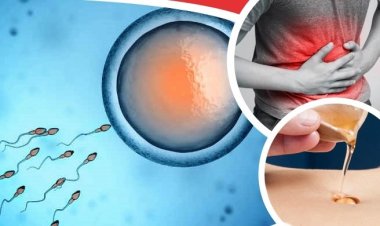 নাভিতে তেল ব্যবহারেই সারবে যেসব রোগ