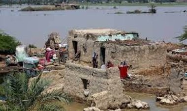  পাকিস্তানে নিয়ন্ত্রণ হারাতে চলেছে পানিবাহিত রোগ