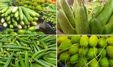 ৬০ টাকার নিচে মিলছে না সবজি: ক্রেতাদের অসন্তোষ