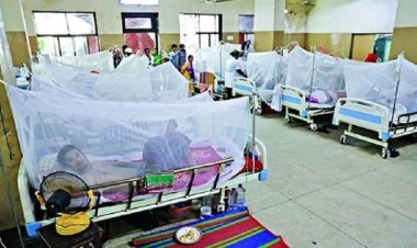 প্রতি ঘণ্টায় ১৮ জনের বেশি ডেঙ্গু আক্রান্ত রোগী হাসপাতালে ভর্তি হচ্ছেন