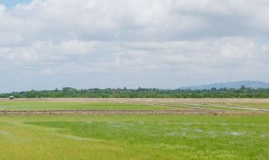  টেকনাফ সীমান্তে থেমে থেমে গুলির শব্দ