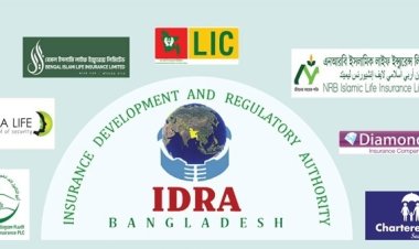 টিকে থাকার লড়াইয়ে বেশিরভাগ নতুন জীবন বিমা কোম্পানি