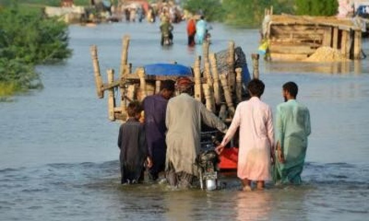 পাকিস্তানে বন্যায় মৃতের সংখ্যা প্রায় ১৩০০