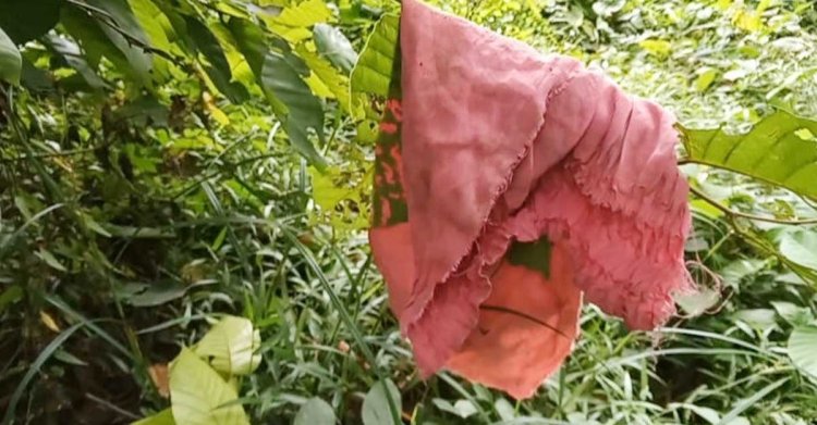 আশুলিয়ায় ভয়ংকর সড়ক, সন্ধ্যা হলেই অনিরাপদ জনপদ