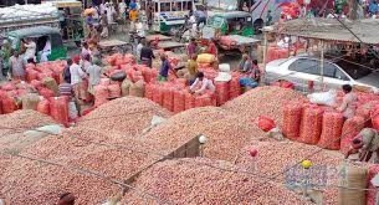 লোকসানের হিসাব কষছেন পেঁয়াজচাষিরা