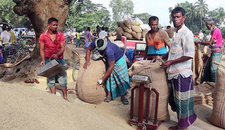 ডিজেল-সারসহ অন্যান্য দ্রব্যমূল্যের ঊর্ধ্বগতিতে দুশ্চিন্তা কাটছে না কৃষকের