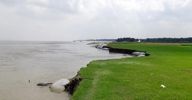 পানি কমায় পদ্মার তীররক্ষা বাঁধে ধস, বিলীন হচ্ছে ফসলি জমি