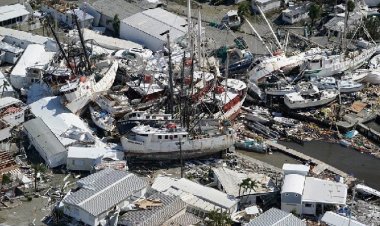 ঘূর্ণিঝড়ে ফ্লোরিডায় নিহত কমপক্ষে ৫০