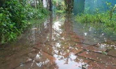 মোংলা বন্দরে ৩ নম্বর সতর্ক সংকেত, ভারি বৃষ্টিতে জলাবদ্ধতা