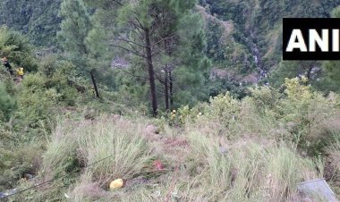 ভারত: বিয়েবাড়িতে যাওয়ার সময় বাস খাদে, নিহত ২৫