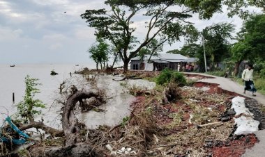 মেঘনার পেটে যাচ্ছে বাজার-ভিটেমাটি-কবর