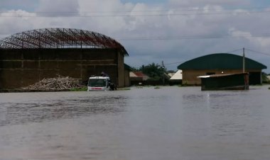 নাইজেরিয়ায় বন্যাদুর্গতদের বহনকারী নৌকাডুবিতে নিহত ৭৬