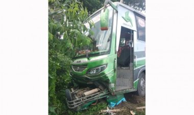 বাসের ধাক্কায় অটোরিকশা খাদে, প্রাণ গেল কলেজছাত্রসহ ২ জনের