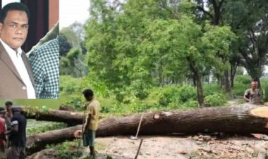 গাছ কাটার অভিযোগে কাউন্সিলর আটক