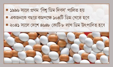 ডিম দিবস আজ