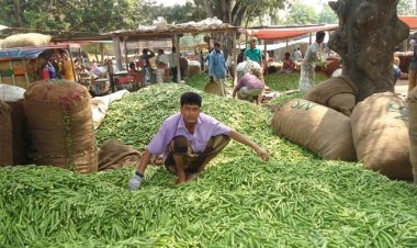 বিশেষায়িত হিমাগারের অভাবে নষ্ট হচ্ছে চাষিদের সবজি-ফল