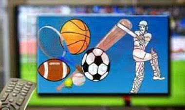 বিশ্বকাপের ম্যাচসহ টিভিতে দেখবেন যে সব খেলা