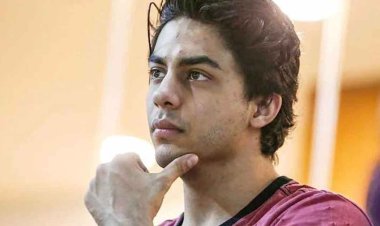  শাহরুখপুত্রের মামলায় অনিয়ম, ৭-৮ কর্মকর্তার ভূমিকা নিয়ে প্রশ্ন