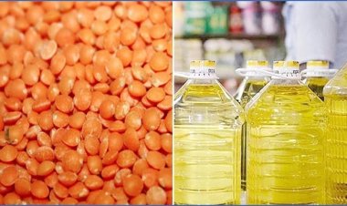  টিসিবির জন্য ৩৪৮ কোটি টাকার সয়াবিন তেল-ডাল কিনবে সরকার