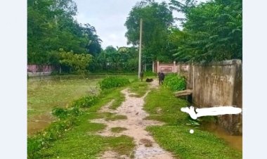 কাজ না করেই ৩৮ প্রকল্পের টাকা লুটপাট