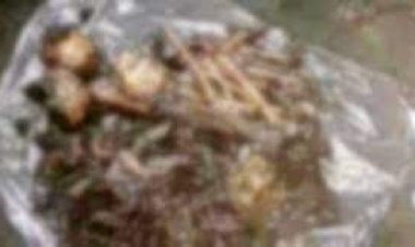 পঞ্চগড়ে চার কঙ্কাল উদ্ধার, নারী আটক