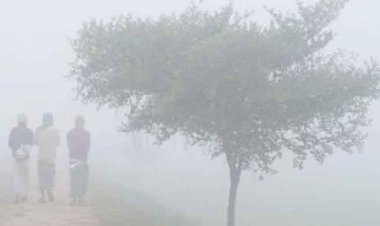 শীতজনিত রোগের আগাম প্রস্তুতি