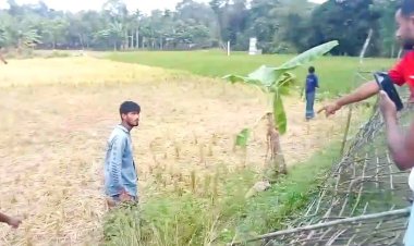 নাইক্ষ্যংছ‌ড়িতে গোলাগুলি, ১৫০ পরিবারকে সরানো হলো নিরাপদ স্থানে