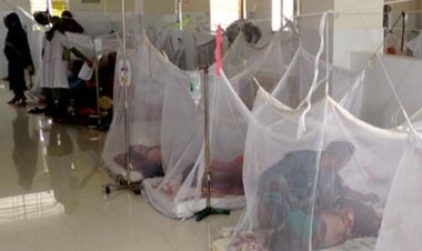 মেঝেতে চিকিৎসা, ডেঙ্গুর জীবাণু বেশি ছড়ানোর শঙ্কা